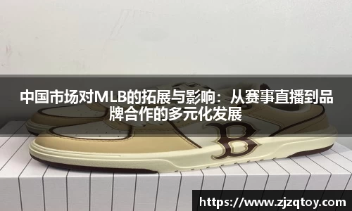 雨燕免费直播在线观看直播足球