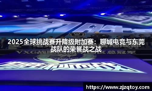 雨燕免费直播在线观看直播足球