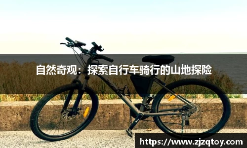 雨燕免费直播在线观看直播足球